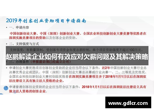 赵鹏解读企业如何有效应对欠薪问题及其解决策略 赵鹏解读企业如何有效应对欠薪问题及其解决策略